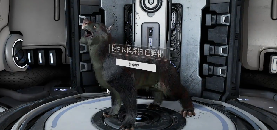 星际战甲怎么与库狛互动