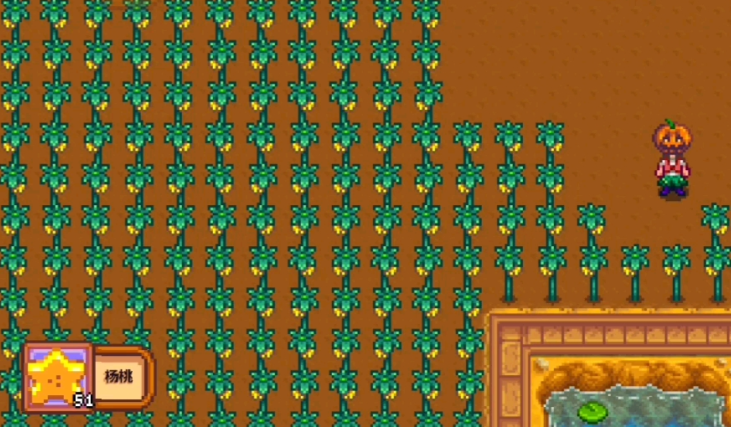 星露谷物语什么农作物收益最高