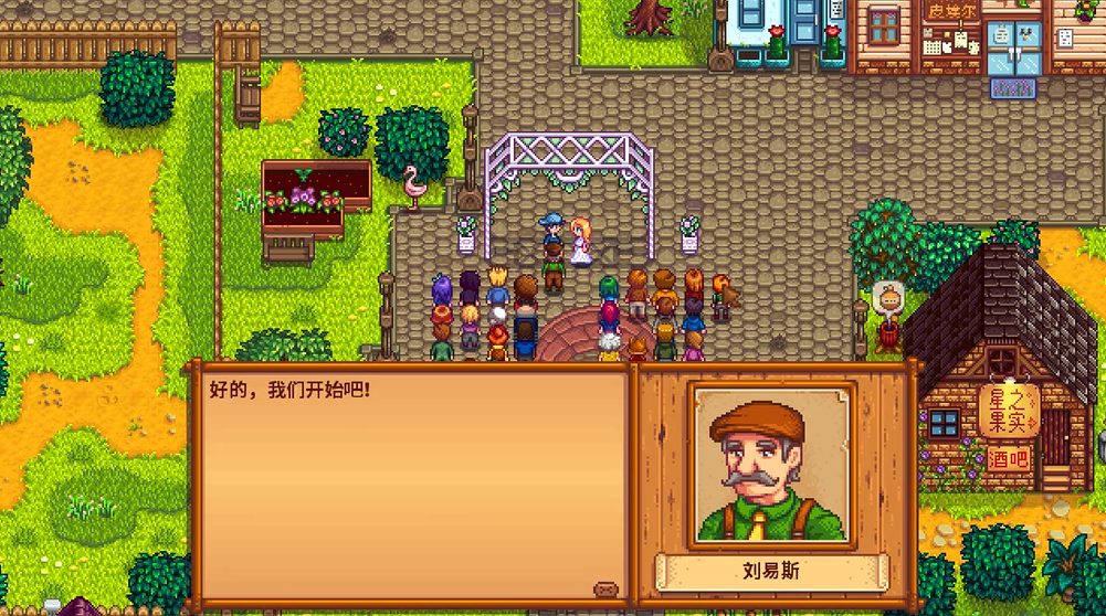 星露谷物语怎么和海莉结婚