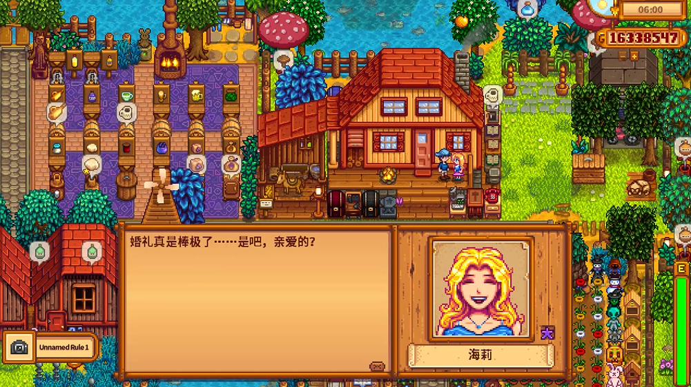 星露谷物语怎么和海莉结婚