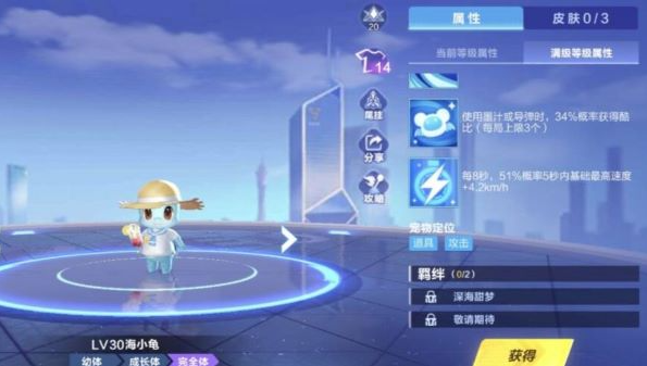 qq飞车手游海小龟可以用吗