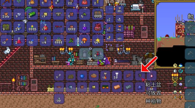 泰拉瑞亚幌菊怎么种植