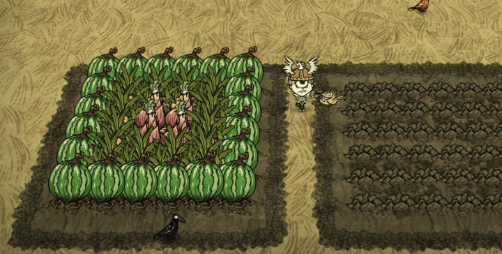 饥荒怎么种出巨大作物 饥荒怎么种出巨大作物