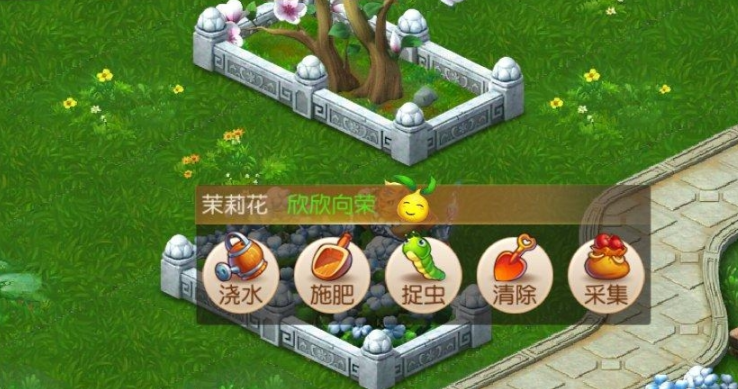 梦幻西游怎么养植物