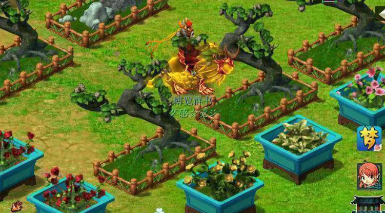 梦幻西游怎么养植物