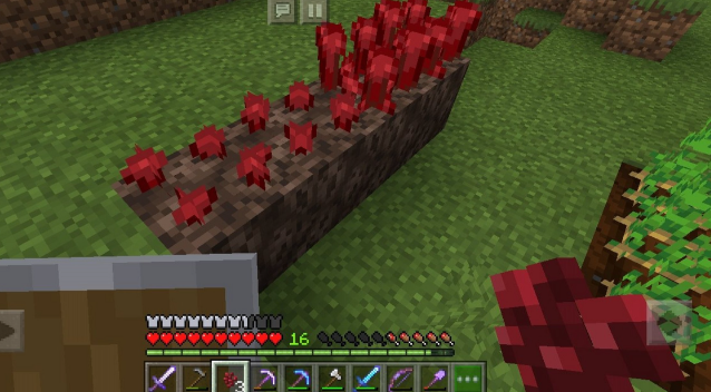 我的世界地狱疣怎么种植 我的世界地狱疣怎么种植