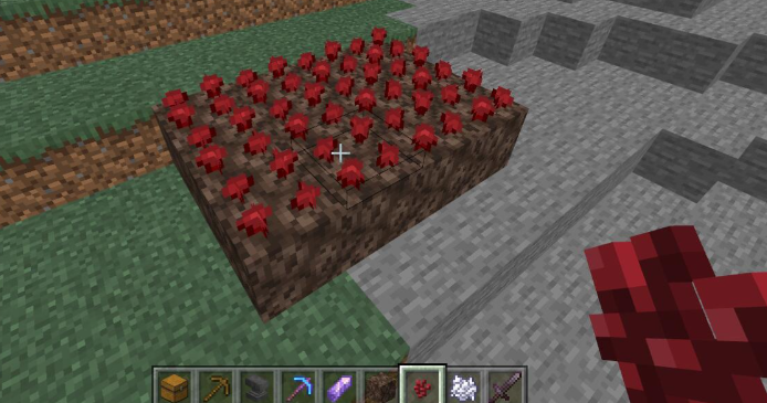 我的世界地狱疣怎么种植