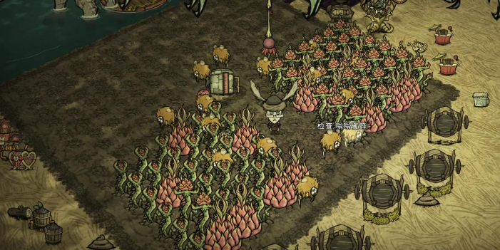 饥荒建家后要准备什么