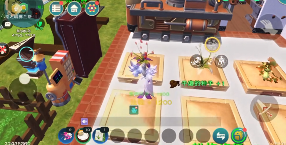 创造与魔法种植什么赚钱