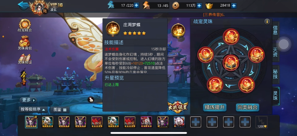 乱斗西游2战宠怎么加点