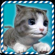 猫咪模拟器 完美版