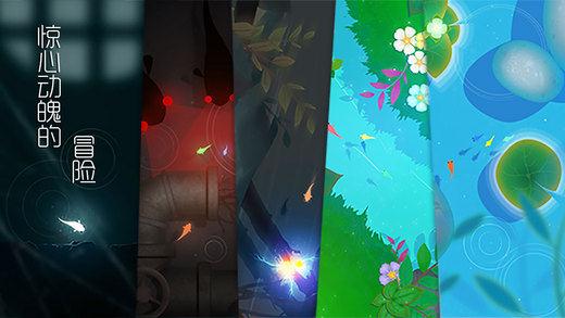 鲤：一条小鱼的净化之旅