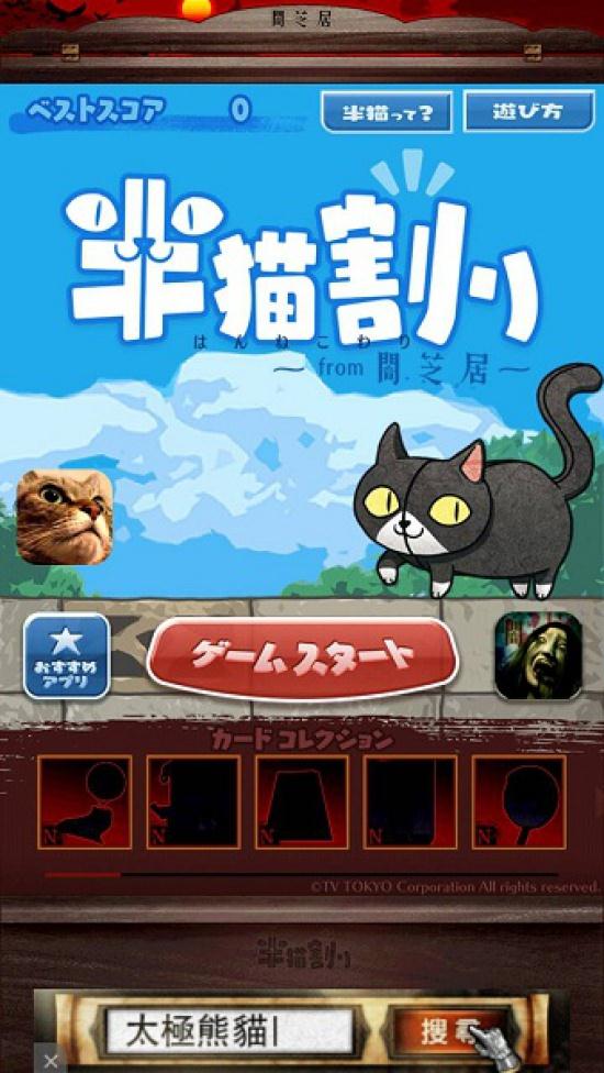 半猫分离